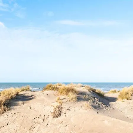 On Belgian Coast With Sea View, Cleaning Included Appartement *