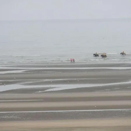 On Belgian Coast With Sea View, Cleaning Included Appartement *