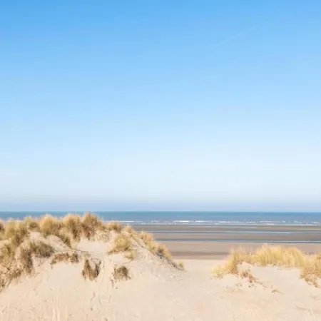 On Belgian Coast With Sea View, Cleaning Included Appartement Oostduinkerke