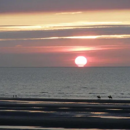 On Belgian Coast With Sea View, Cleaning Included *