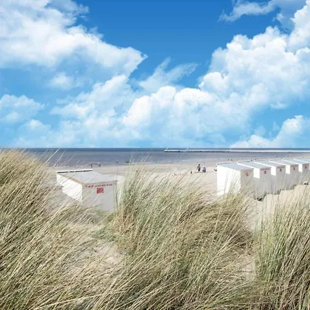 On Belgian Coast With Sea View, Cleaning Included