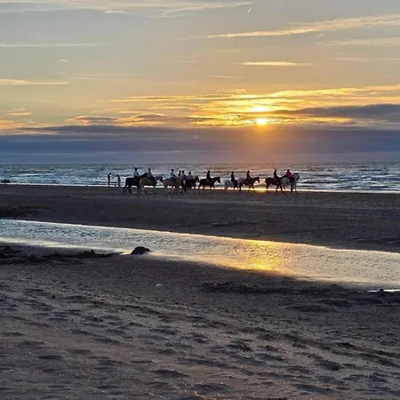 On Belgian Coast With Sea View, Cleaning Included * Oostduinkerke